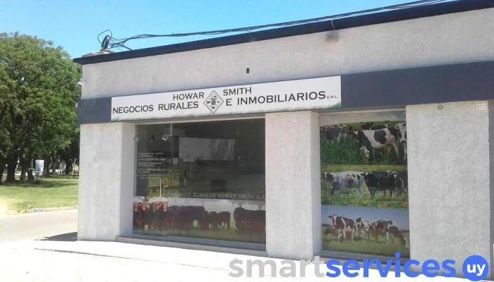 Howar Smith S.r.l. - 90700 Santa Lucía