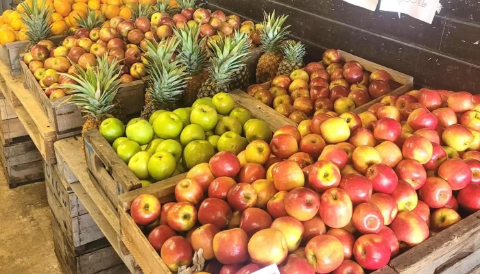 Huerta Los Patos - 12700 Montevideo