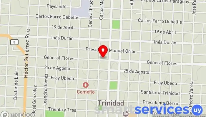 mapa de Inmobiliaria Silva Agencia inmobiliaria en Trinidad