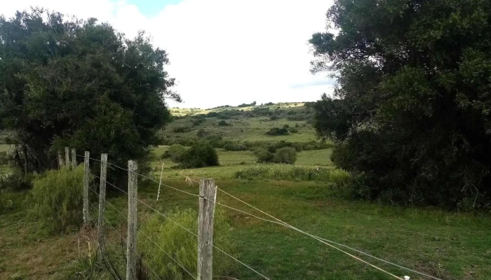 Inmobiliaria Valle Y Sierra -  Del Propietario - Minas