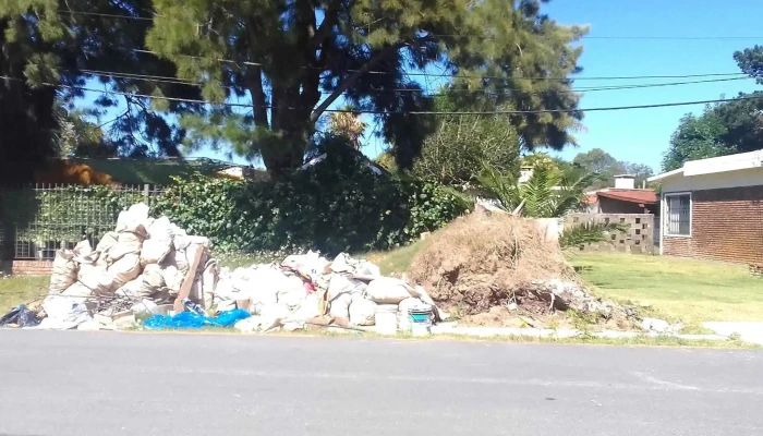 Intendencia De Canelones -  Opiniones - Canelones