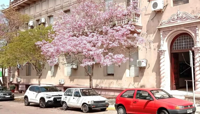 Intendencia Departamental De Paysandu -  Numero - Paysandú