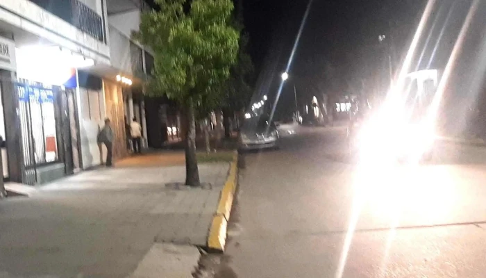 Intertur -  Telefono - Nueva Palmira