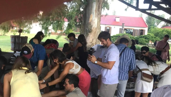 Joanico Canelones Donde - Juanicó