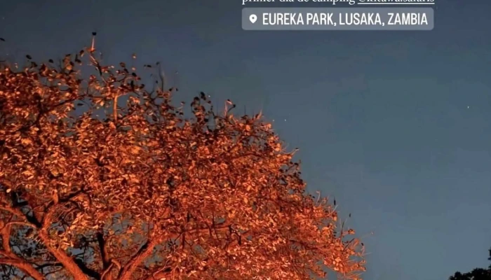 Kitawa Viajes Y Safaris -  Cerca De Mi - Montevideo