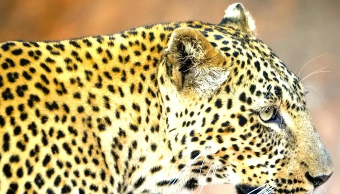 Kitawa Viajes Y Safaris -  Precios - Montevideo
