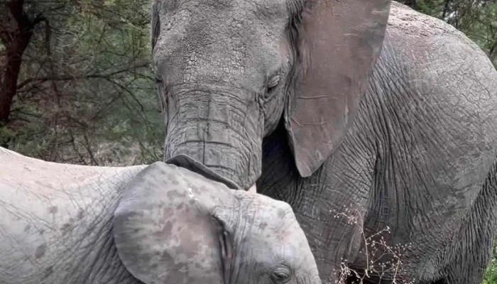 Kitawa Viajes Y Safaris -  Videos - Montevideo
