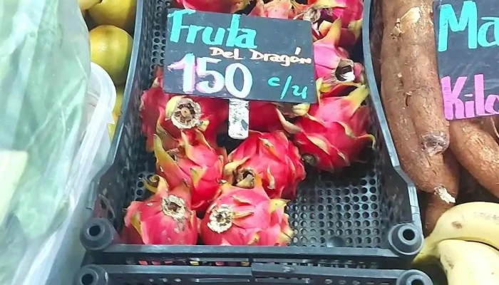 La Fruteria - Departamento De Maldonado