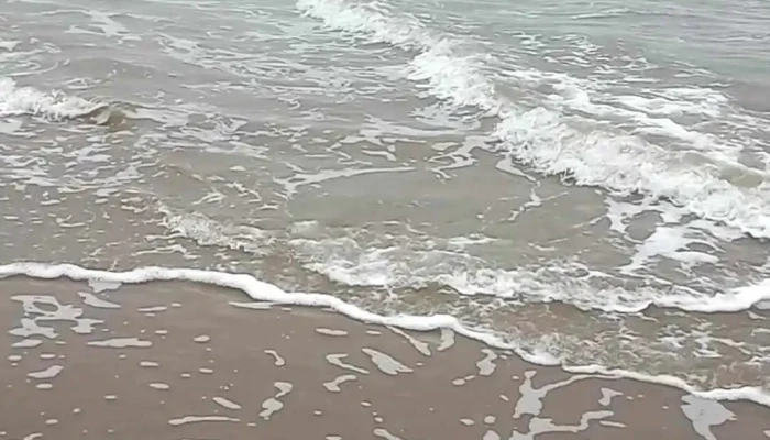 La Paloma Rocha Uruguay -  Videos - La Aguada y Costa Azul