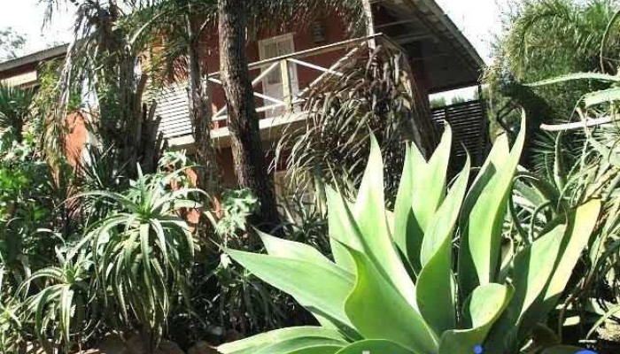 La Serena Suites Aparthotel - La Paloma