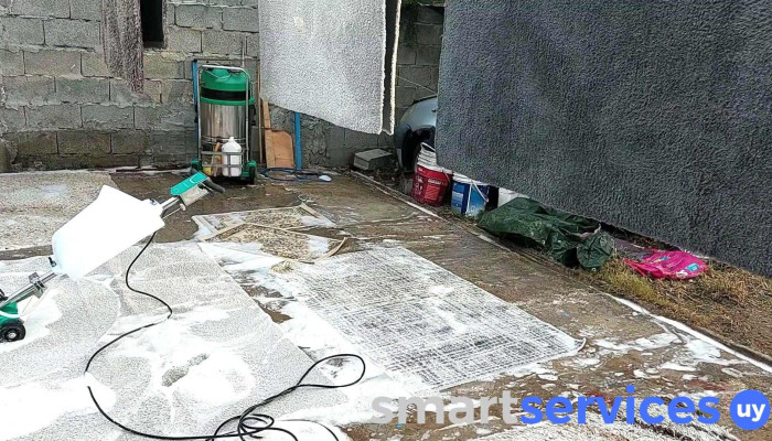Limpieza de alfombras - Montevideo
