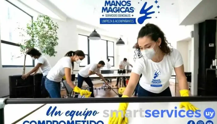 Manos Magicas Limpieza Y Acompanantes Del Propietario - Montevideo