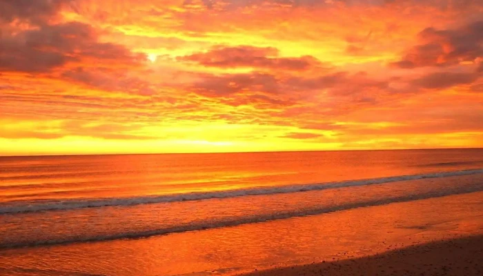 Mar Y Tierra Propiedades -  Del Propietario - Punta del Este