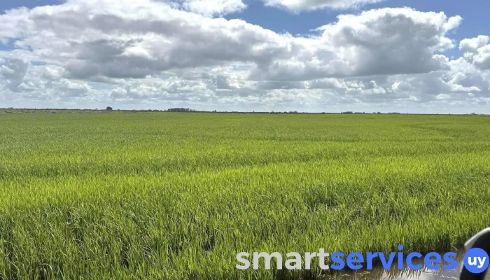 Marcos Techera 🌾 - 30300 José Pedro Varela