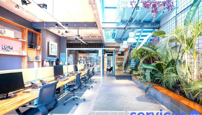 Marketdeleste -  Interior - Punta del Este