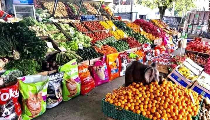 Mercado garzón Frutas y Verduras - 11900 Montevideo