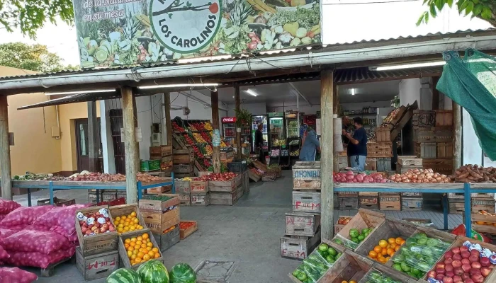 Mercado Los Carolinos - Departamento De Maldonado