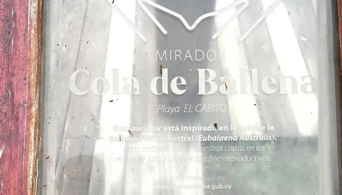 Mirador Cola De Ballena -  Abierto Ahora - La Paloma
