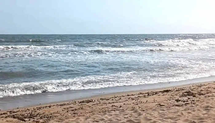 Mirador Cola De Ballena -  Videos - La Paloma