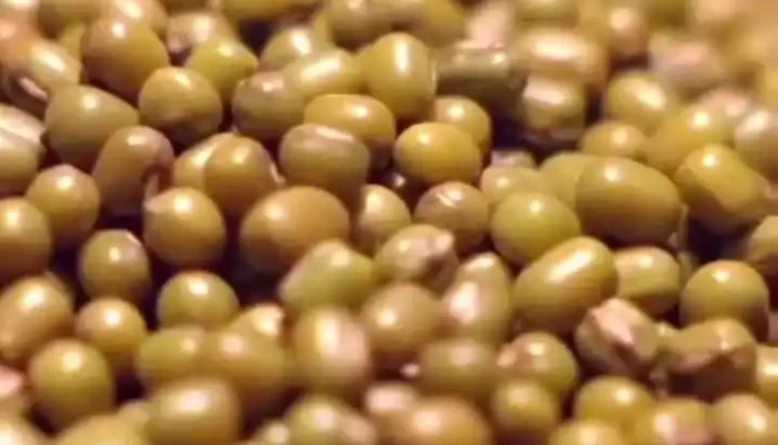 Montes De Oca International Business -  Videos - Nueva Helvecia