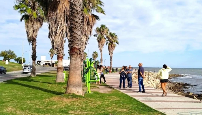 Montevideo -  Videos - Montevideo