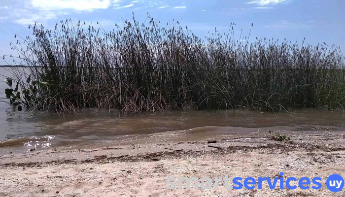 Muelle Villa Soriano -  Playa - Villa Soriano