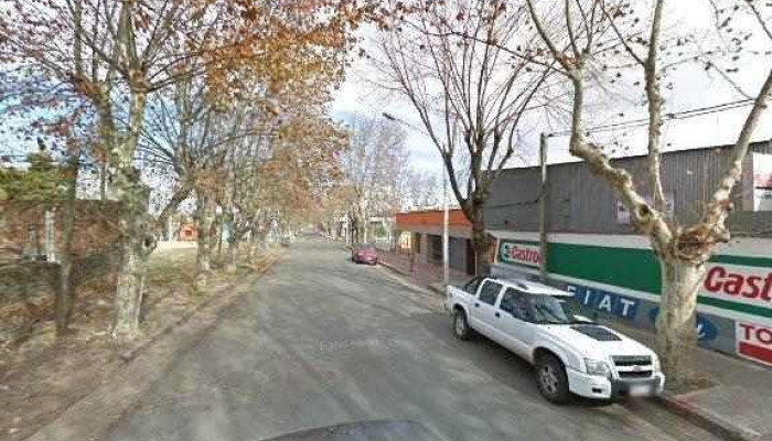 Multicar -  Instagramdeg - Durazno
