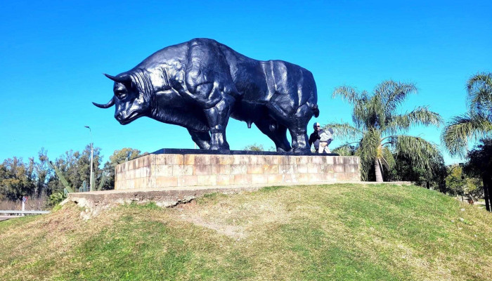 Municipio Paso De Los Toros - Gral. .Leandro Gomez