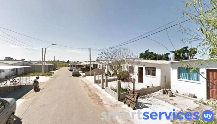 Mv sabores - 70700 Nueva Palmira