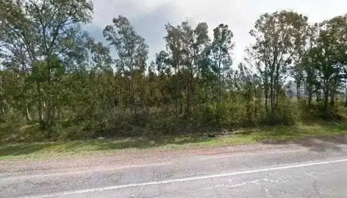 Myrin Sa Preciosdeg - Santa Bernardina