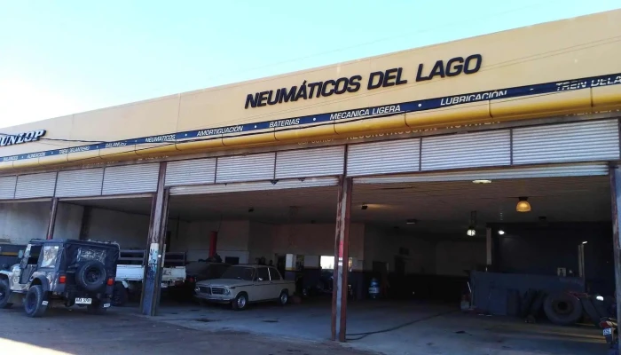 Neumaticos Del Lago Exterior - ciudad de la costa