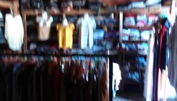 Novedades Lulu - Del Pilar