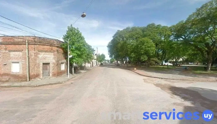 Nuñez Transporte y Turismo - Vergara