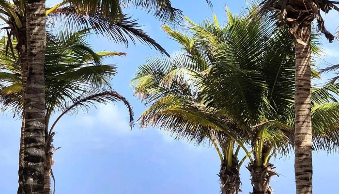 Om Travel -  Catalogo - Florida