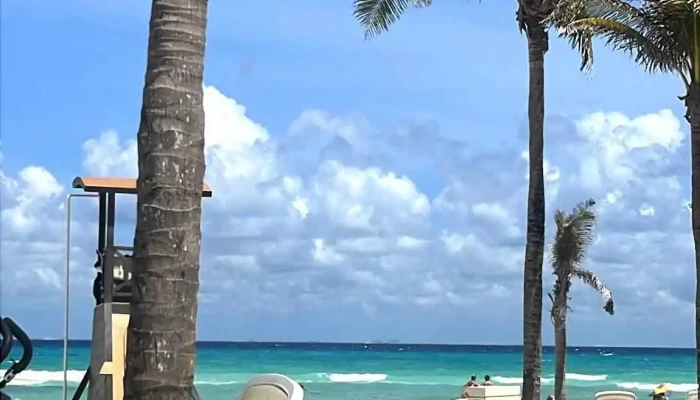 Om Travel -  Mas Recientes - Florida