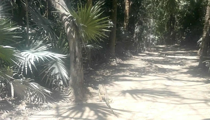 Om Travel -  Opiniones - Florida