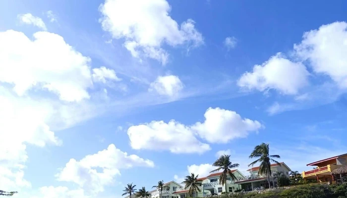 Om Travel -  Videos - Florida