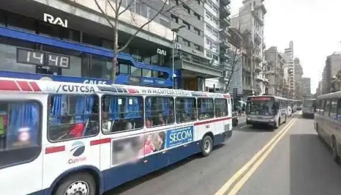 Optica Focus Minilent -  Opinionesdeg - Montevideo