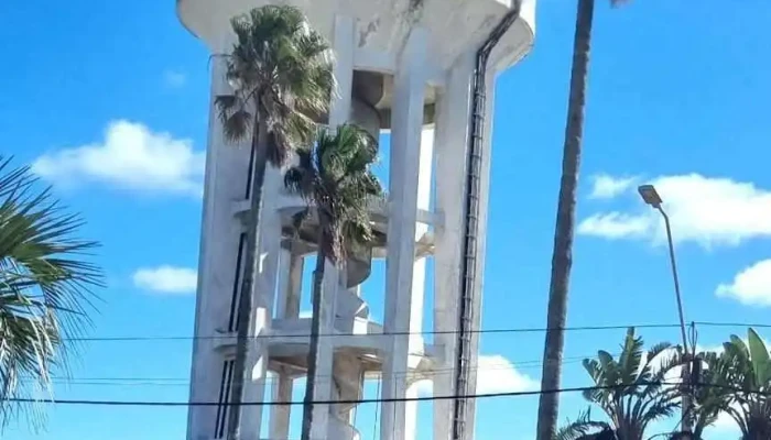 Ose La Paloma -  Videos - La Paloma
