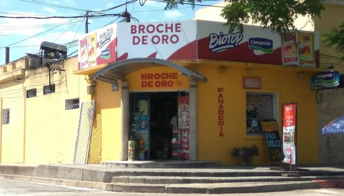 Panadería Broche de Oro - 12