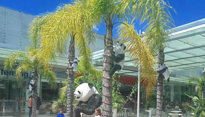Panda Free Shop - Rio Branco