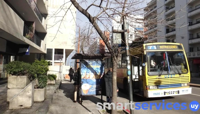 Parada De Omnibus Sitio Web - Montevideo