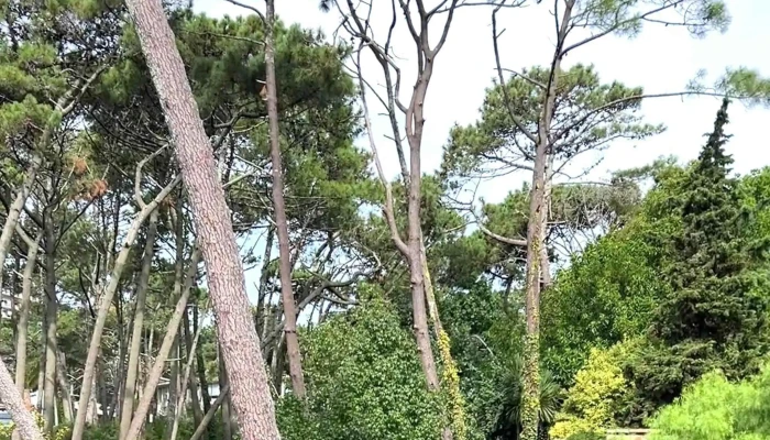 Parc Du Soleil -  Comentarios - Maldonado