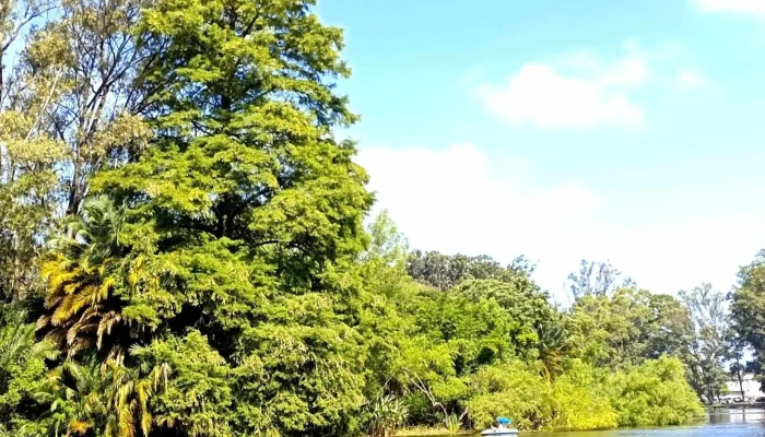 Parque Rivera -  Catalogo - Montevideo