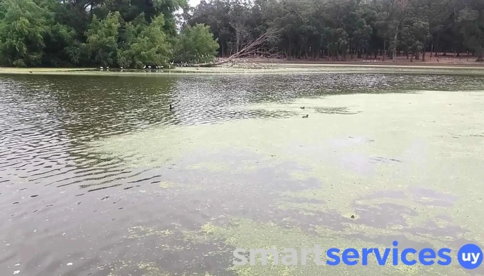 Parque Rivera -  Videos - Montevideo