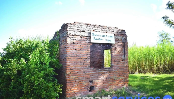 Paseo Caña de azucar - Departamento De Artigas