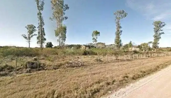 Paseos A Caballos Chincheta -  Catalogo - Col. del Sacramento