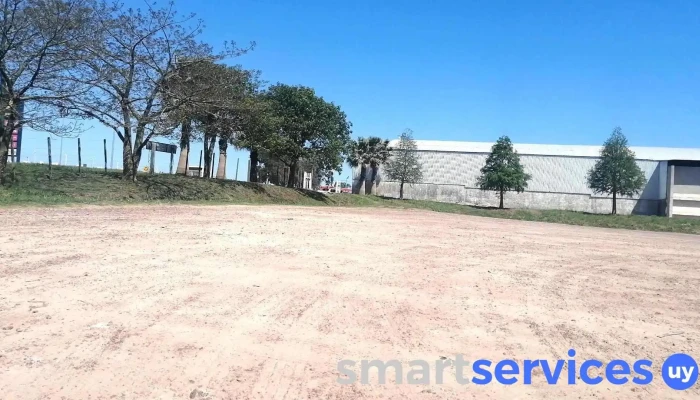 Pedro Maccio y Cía. S.a. Planta fertilizantes Nueva Palmira - 400