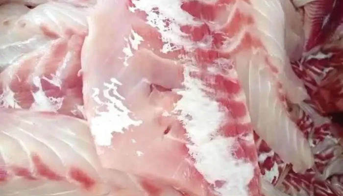 Pescadería Tomkinson - 12700 Montevideo