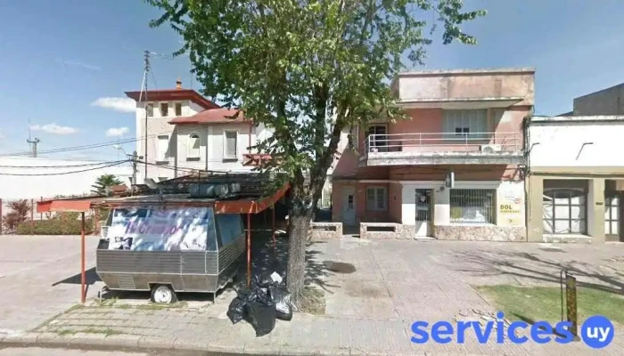 pizeria manjares 45672919 - 65100 Young